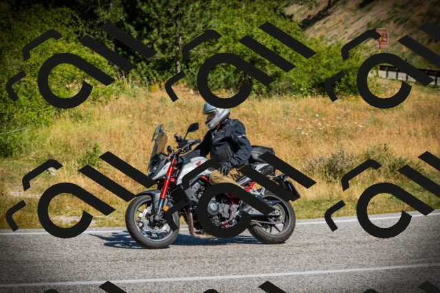 202507121039-DSC09482_c1_