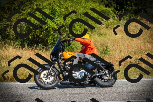 202507121048-DSC09545_c1_