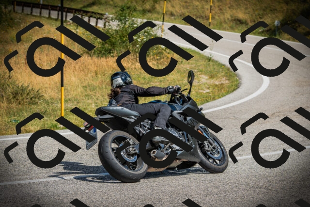 202507121056-DSC09617_c1_