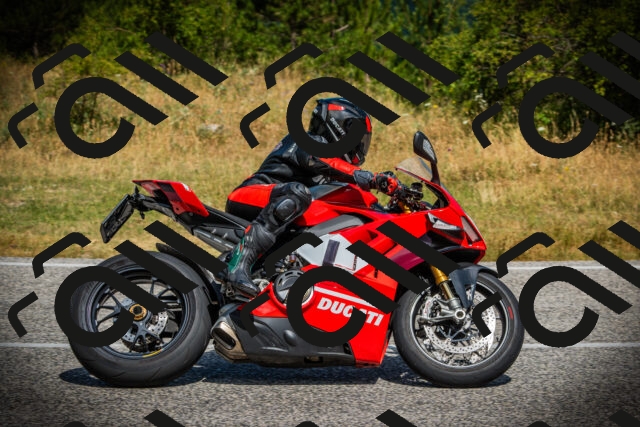 202507121104-DSC09694_c1_