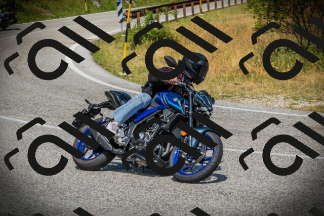 202507121107-DSC09739_c1_