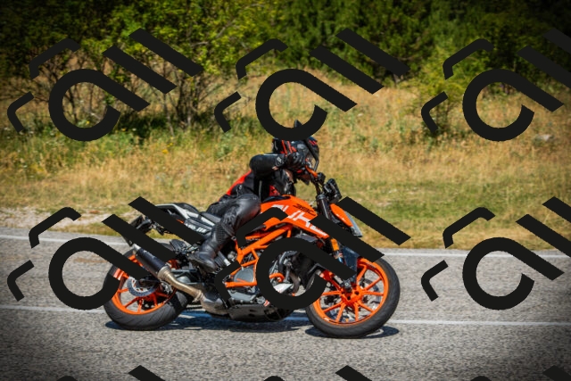 202507121120-DSC09908_c1_