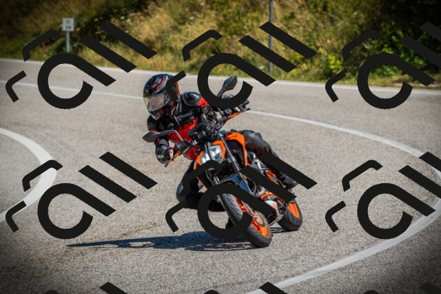 202507121126-DSC09990_c1_