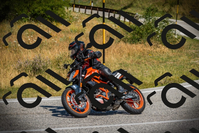 202507121126-DSC09991_c1_