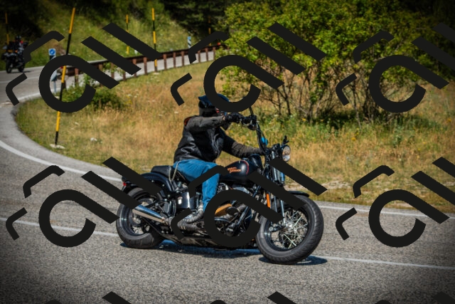 202507121127-DSC00029_c1_