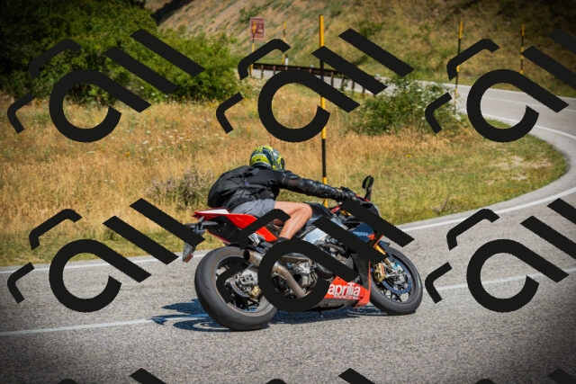 202507121129-DSC00047_c1_