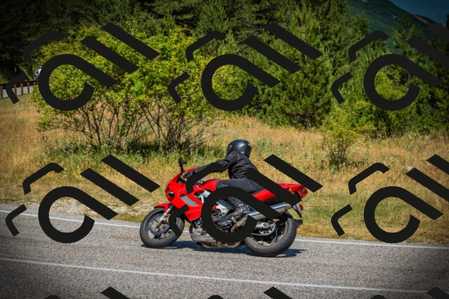 202507121136-DSC00099_c1_