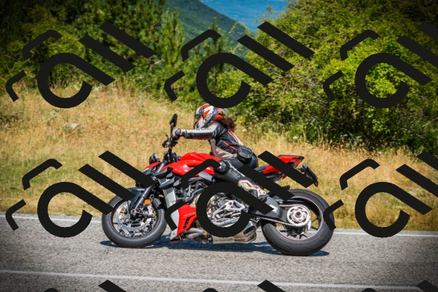 202507121143-DSC00225_c1_