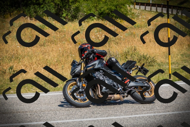 202507121146-DSC00281_c1_