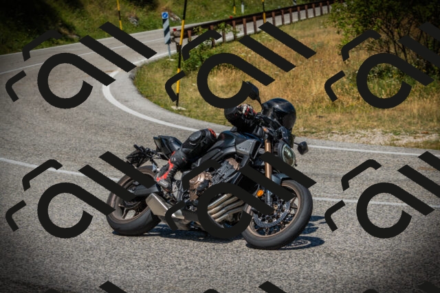 202507121150-DSC00321_c1_