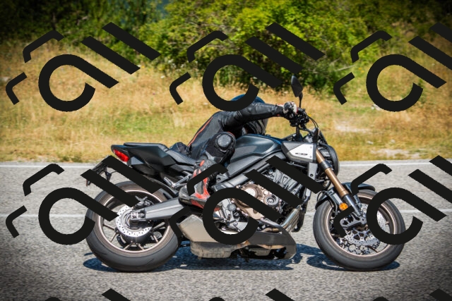 202507121150-DSC00322_c1_