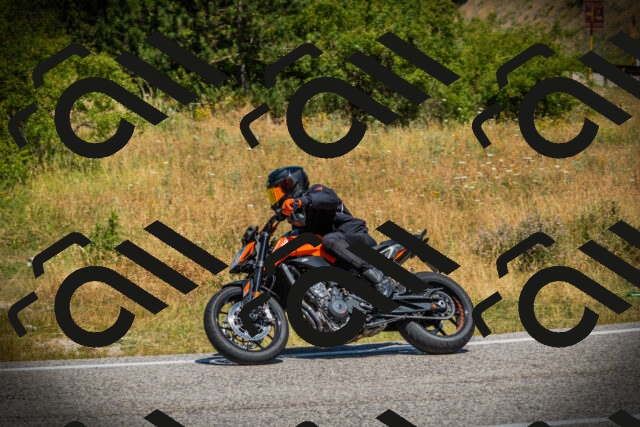 202507121156-DSC00416_c1_