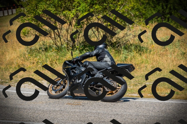 202507121158-DSC00455_c1_