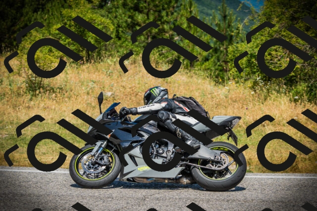 202507121200-DSC00529_c1_