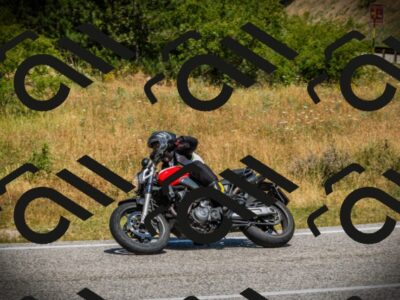 202507121200-DSC00530_c1_