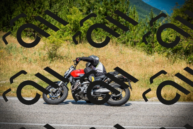 202507121200-DSC00531_c1_