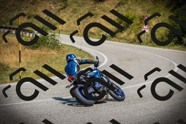 202507121200-DSC00533_c1_