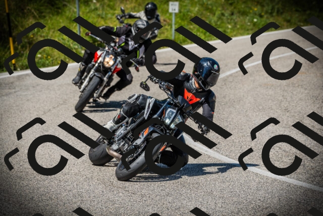 202507121201-DSC00541_c1_