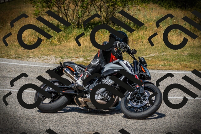 202507121201-DSC00542_c1_