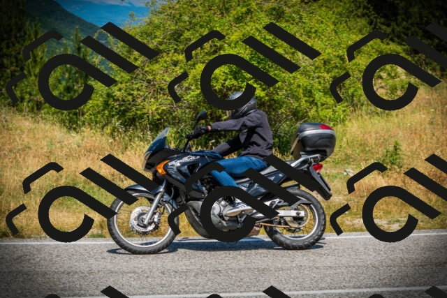 202507121201-DSC00551_c1_