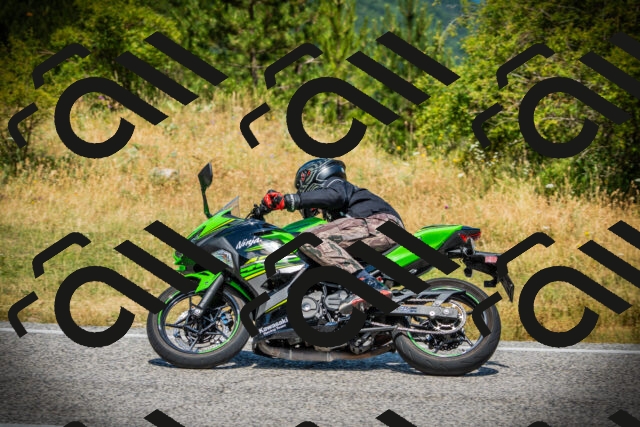 202507121201-DSC00554_c1_