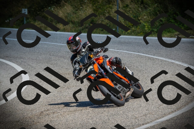 202507121202-DSC00564_c1_