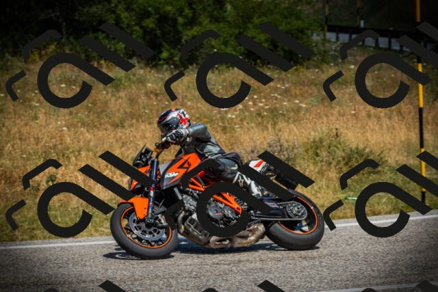 202507121202-DSC00565_c1_