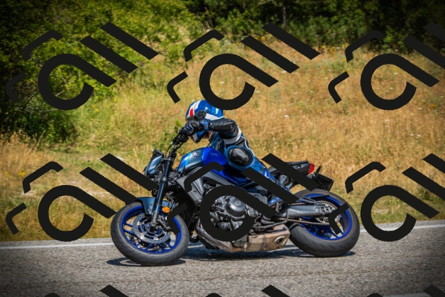 202507121202-DSC00571_c1_