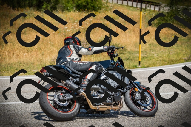 202507121203-DSC00593_c1_