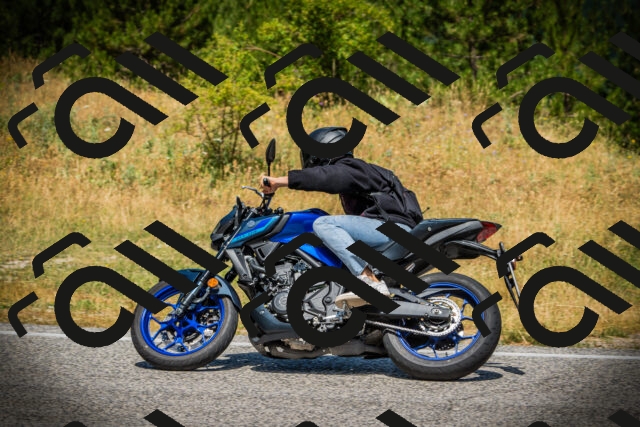 202507121203-DSC00598_c1_