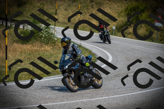 202507121204-DSC00631_c1_