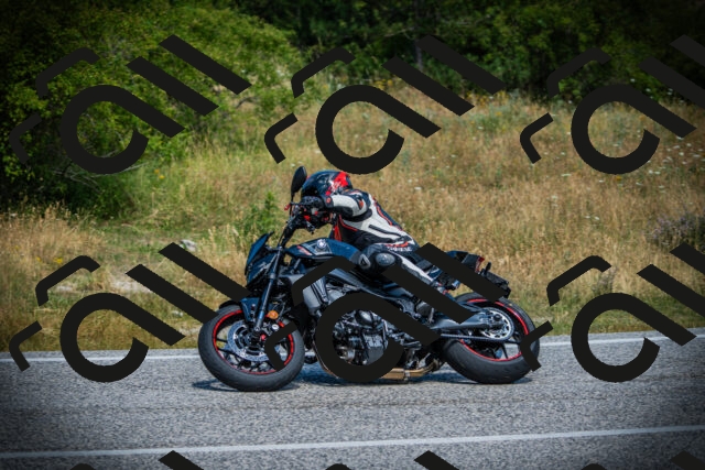 202507121204-DSC00634_c1_