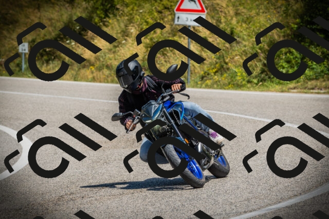 202507121205-DSC00660_c1_