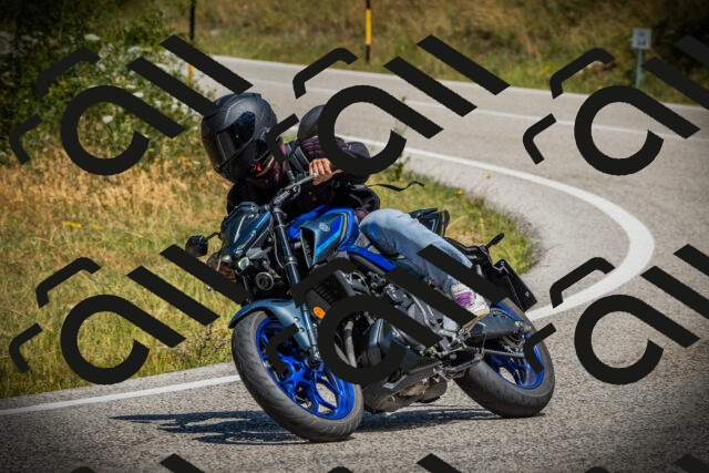 202507121205-DSC00661_c1_