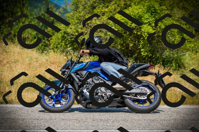 202507121205-DSC00662_c1_