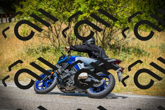 202507121205-DSC00663_c1_