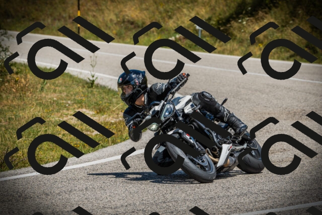 202507121205-DSC00679_c1_