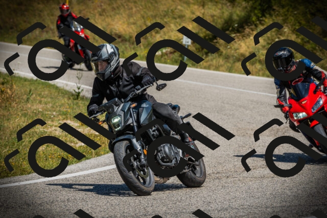 202507121206-DSC00688_c1_