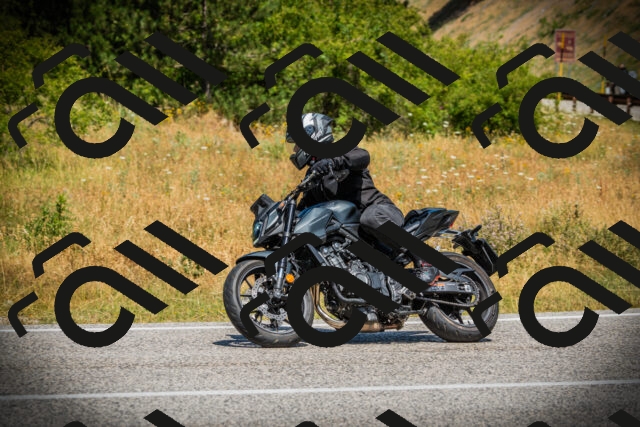 202507121206-DSC00689_c1_