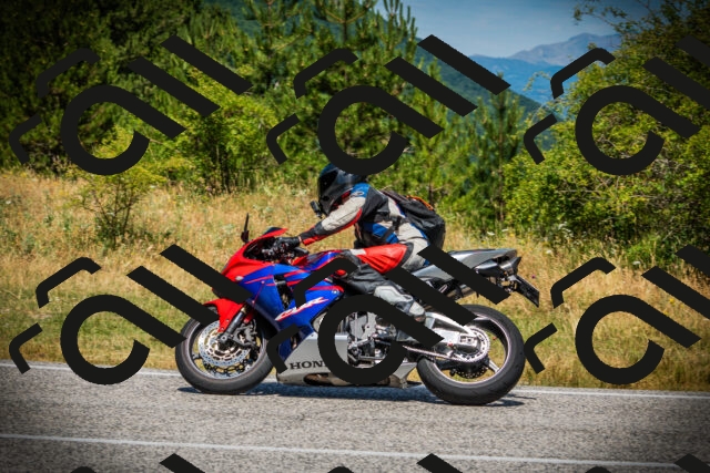 202507121206-DSC00690_c1_