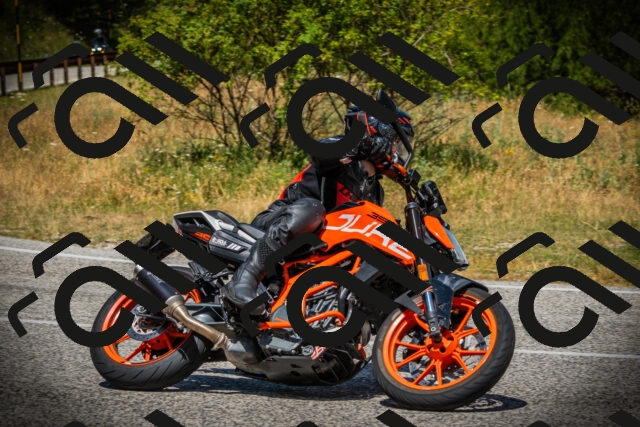 202507121206-DSC00698_c1_