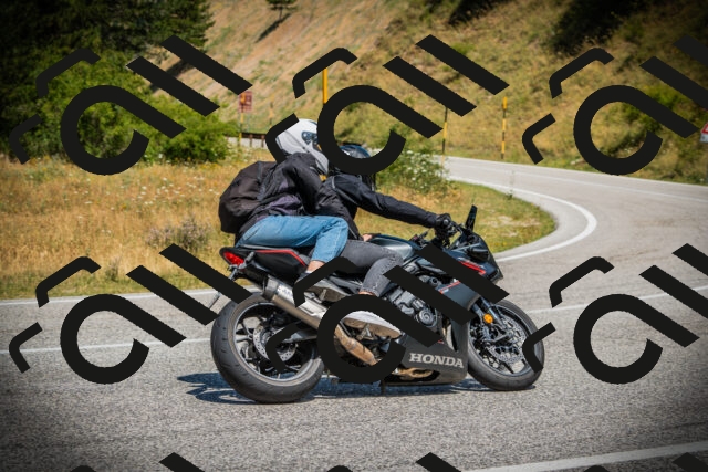 202507121206-DSC00705_c1_