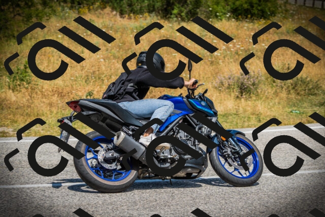 202507121206-DSC00708_c1_