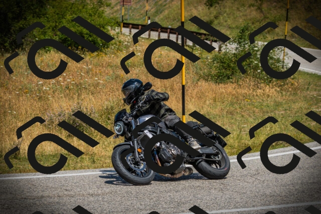 202507121206-DSC00710_c1_