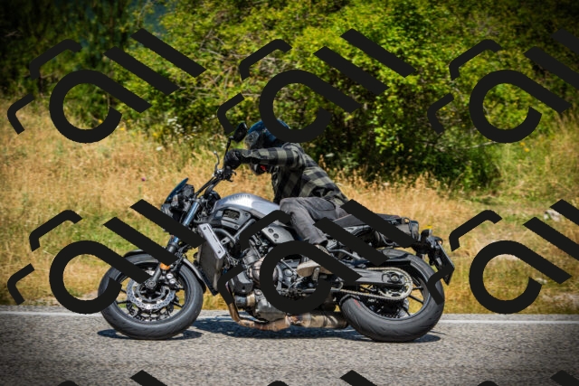 202507121206-DSC00711_c1_