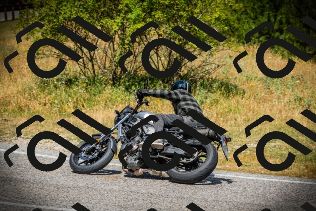 202507121206-DSC00712_c1_