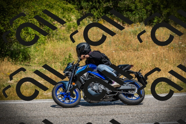 202507121207-DSC00714_c1_