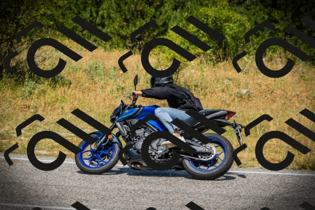 202507121207-DSC00715_c1_