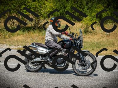 202507121209-DSC00731_c1_