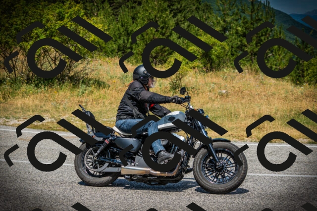 202507121209-DSC00741_c1_